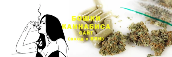 ГАЛЛЮЦИНОГЕННЫЕ ГРИБЫ Белокуриха