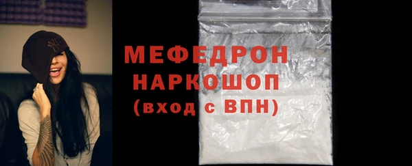 дмт Богданович