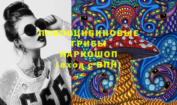 ГАЛЛЮЦИНОГЕННЫЕ ГРИБЫ Белоозёрский