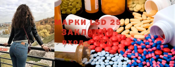 дмт Богданович