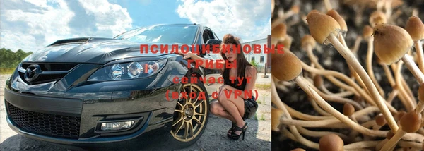 ГАЛЛЮЦИНОГЕННЫЕ ГРИБЫ Белокуриха