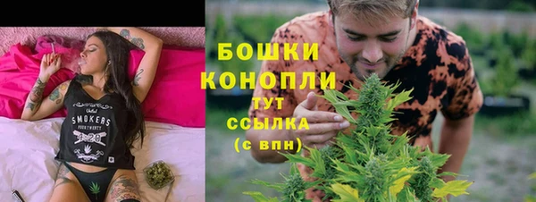 ГАЛЛЮЦИНОГЕННЫЕ ГРИБЫ Белокуриха