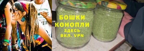 ГАЛЛЮЦИНОГЕННЫЕ ГРИБЫ Белокуриха