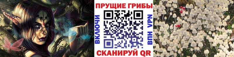 Галлюциногенные грибы Magic Shrooms  Клинцы 